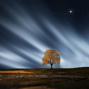 一边舌吻一边揉我的胸都没有感觉

